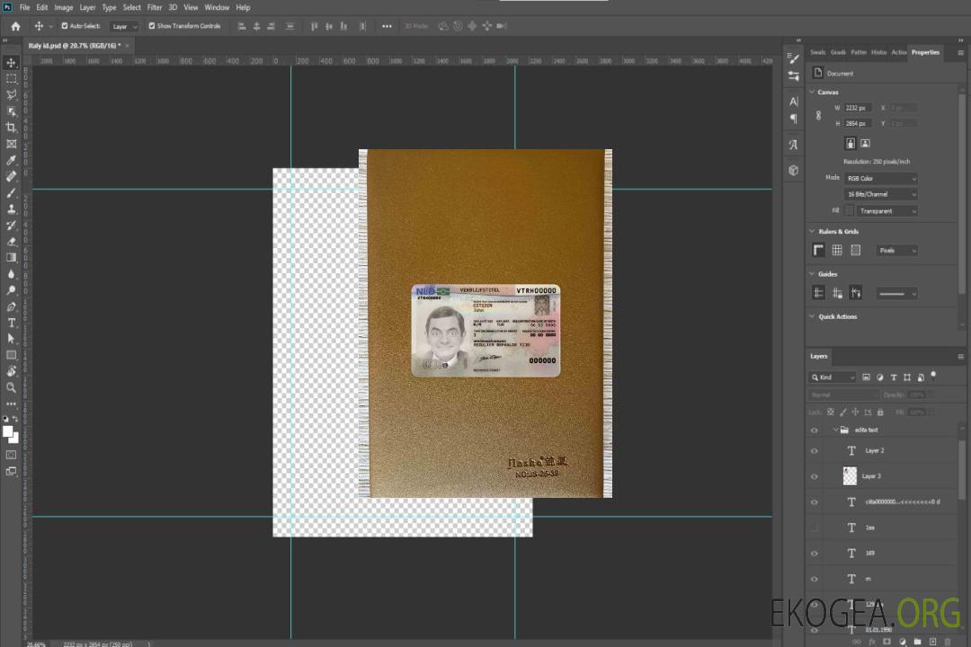 Photolook du permis de séjour aux Pays-Bas AVANT template